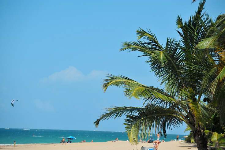 The beachside neighborhood of Ocean Park